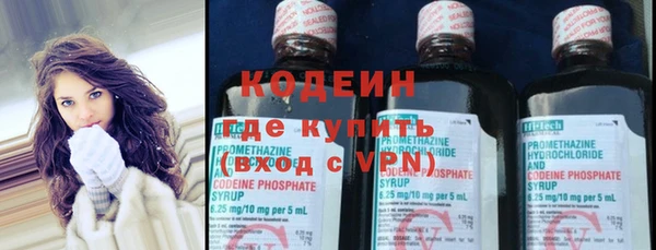 шишки Карпинск