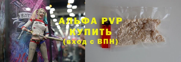 шишки Карпинск