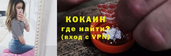 шишки Карпинск