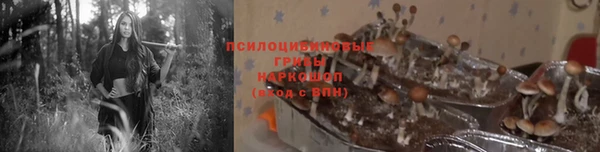 МДПВ Карталы