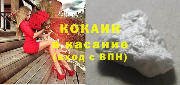 шишки Карпинск