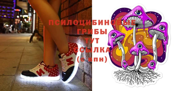 шишки Карпинск