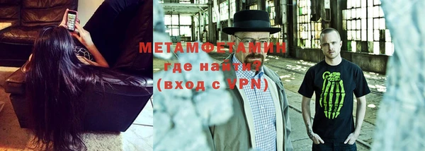 шишки Карпинск