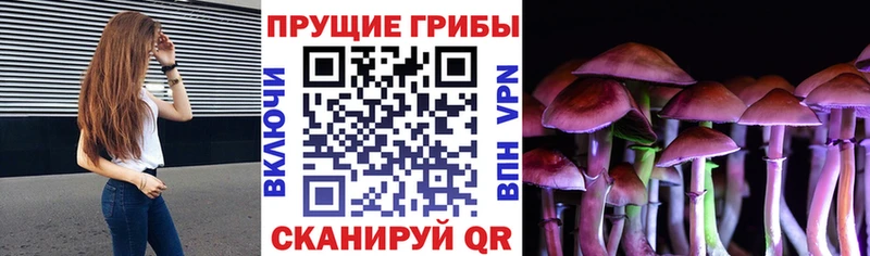 Псилоцибиновые грибы Cubensis  Купить где  Кизилюрт 